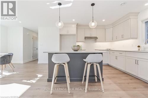 518 Newfoundland Street, Wellington North (Mount Forest), ON - Indoor Photo Showing Kitchen With Upgraded Kitchen