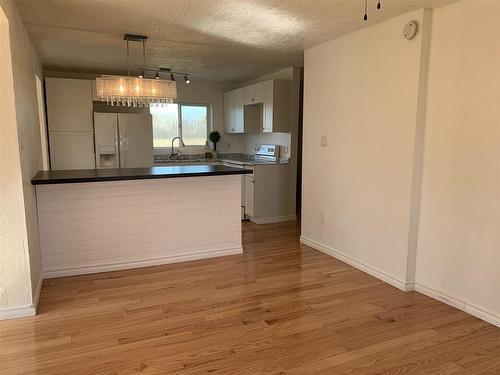 1172 Redford Road, Emo, ON - Indoor Photo Showing Kitchen