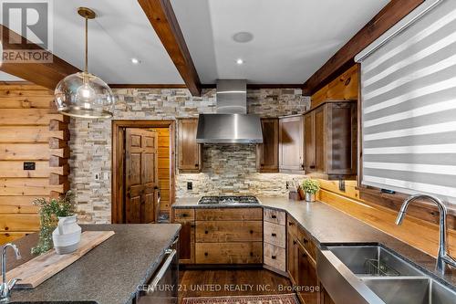 1738 Poplar Point Road, Smith-Ennismore-Lakefield, ON - Indoor Photo Showing Kitchen With Double Sink