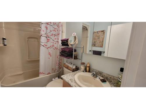 409 9Th Avenue, New Denver, BC - Indoor Photo Showing Bathroom