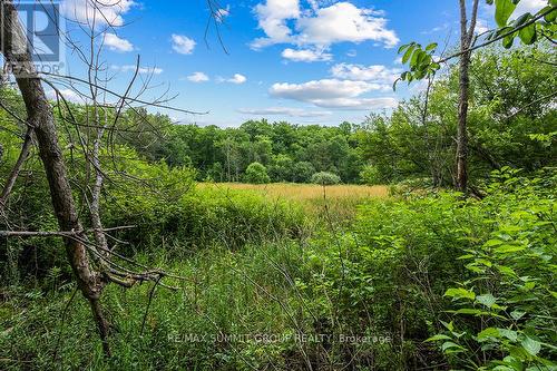 Pt Lt 6 9Th Line, Grey Highlands, ON 