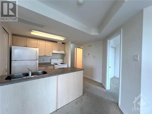 310 Central Park Drive Unit#4B, Ottawa, ON - Indoor Photo Showing Kitchen With Double Sink