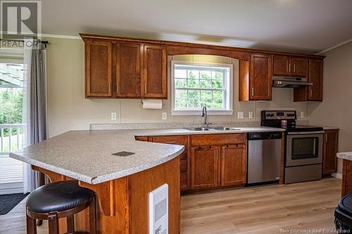 5850 Pokiok Settlement Road, Prince William, NB - Indoor Photo Showing Kitchen With Double Sink