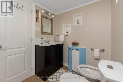 22 Norton Crescent, Halton Hills (Georgetown), ON - Indoor Photo Showing Bathroom