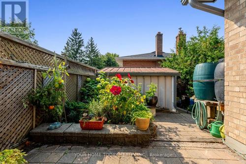 22 Norton Crescent, Halton Hills (Georgetown), ON - Outdoor With Deck Patio Veranda With Exterior