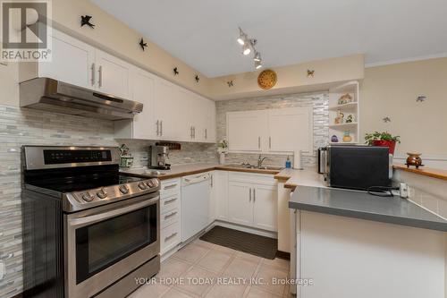 22 Norton Crescent, Halton Hills (Georgetown), ON - Indoor Photo Showing Kitchen With Double Sink