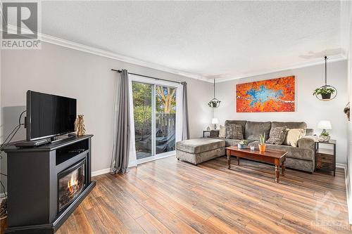 106 Castlefrank Road, Ottawa, ON - Indoor Photo Showing Living Room With Fireplace