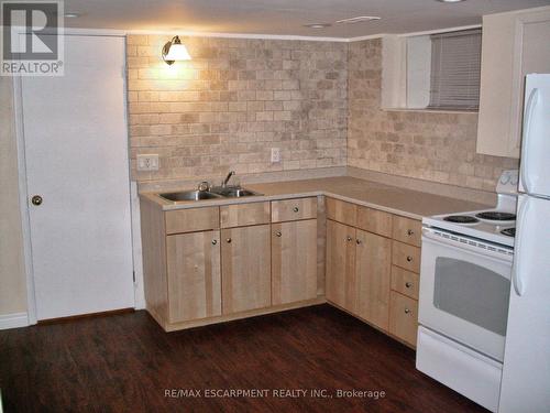 24 Carrick Avenue, Hamilton, ON - Indoor Photo Showing Kitchen With Double Sink