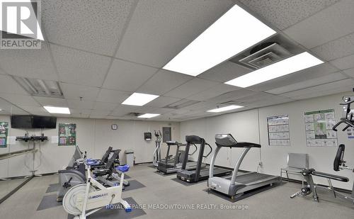 803 - 20 Cherrytree Drive, Brampton (Fletcher'S Creek South), ON - Indoor Photo Showing Gym Room