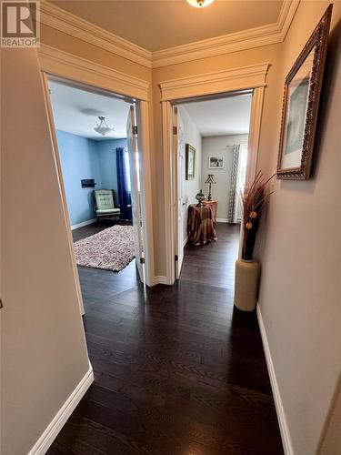 7 Adventure Avenue, St. John'S, NL - Indoor Photo Showing Other Room