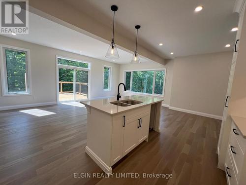 21-49 Royal Dornoch Drive, St. Thomas, ON - Indoor Photo Showing Kitchen With Double Sink