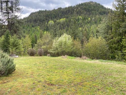 2697 Osachoff Road, South Slocan, BC - Outdoor With View