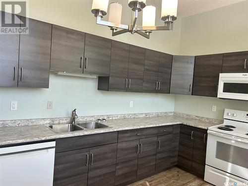 202 3225 13Th Avenue, Regina, SK - Indoor Photo Showing Kitchen With Double Sink