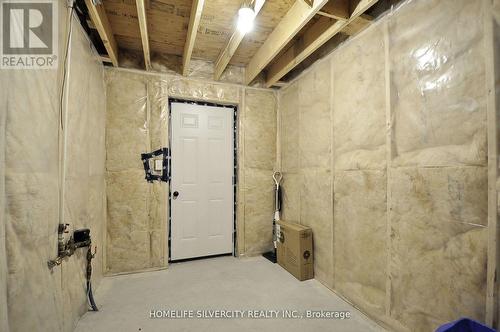 166 Savannah Ridge Drive, Brant (Paris), ON - Indoor Photo Showing Basement