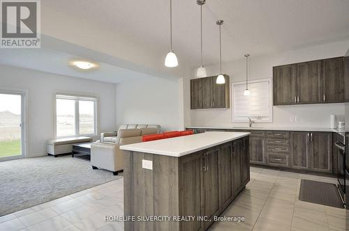 166 Savannah Ridge Drive, Brant (Paris), ON - Indoor Photo Showing Kitchen With Upgraded Kitchen