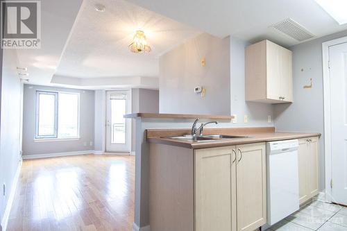 310 Central Park Drive Unit#9J, Ottawa, ON - Indoor Photo Showing Kitchen With Double Sink