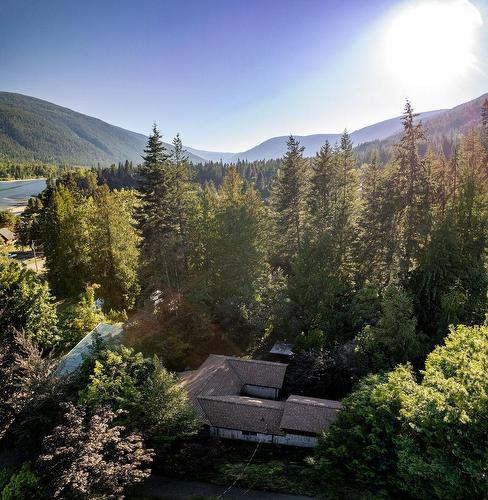 4156 Highway 3A, Nelson, BC - Outdoor With View