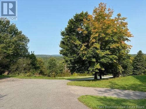 596 Salt Springs Road, Southfield, NB - Outdoor With View