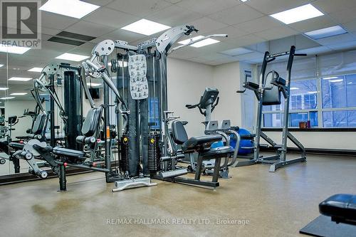 1806 - 8 Rean Drive, Toronto (Bayview Village), ON - Indoor Photo Showing Gym Room