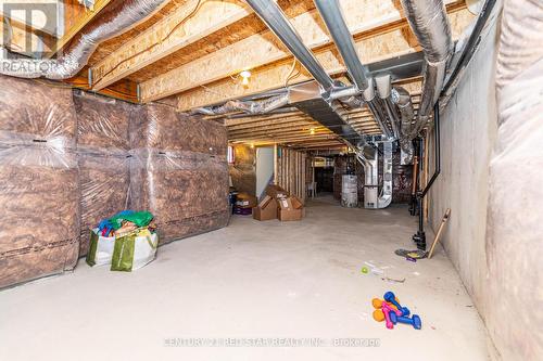 41 Phyllis Drive, Caledon, ON - Indoor Photo Showing Basement