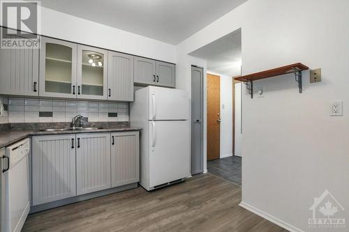 960 Teron Road Unit#108, Ottawa, ON - Indoor Photo Showing Kitchen With Double Sink