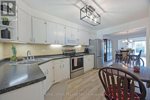 35 Bonnie Place, St. Thomas, ON - Indoor Photo Showing Kitchen With Double Sink