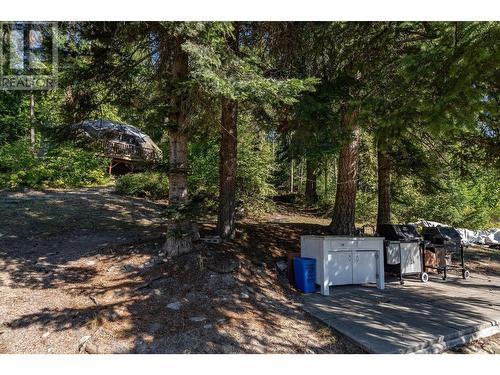 6602  3A Highway, Nelson, BC - Outdoor