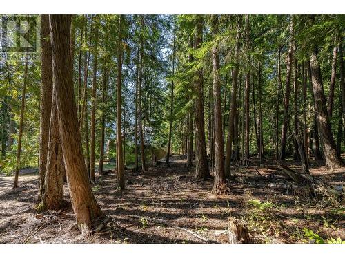 6602 3A Highway, Nelson, BC - Outdoor With View