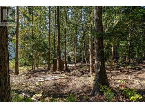 6602  3A Highway, Nelson, BC - Outdoor With View