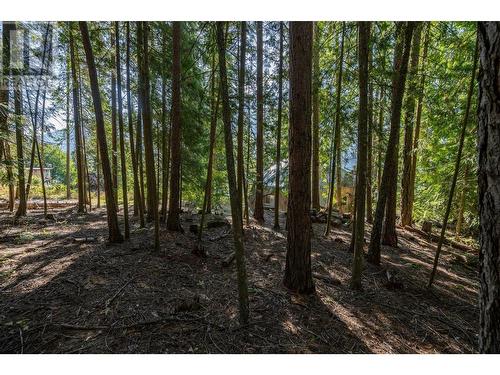 6602 3A Highway, Nelson, BC - Outdoor With View