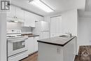 310 Central Park Drive Unit#3F, Ottawa, ON  - Indoor Photo Showing Kitchen With Double Sink 