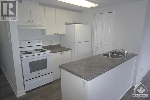 310 Central Park Drive Unit#3F, Ottawa, ON - Indoor Photo Showing Kitchen With Double Sink