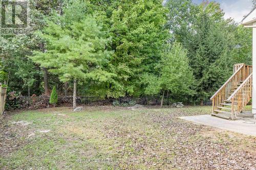 156 41St Street S, Wasaga Beach, ON - Outdoor