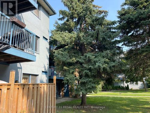 934 - 95 Trailwood Drive, Mississauga (Hurontario), ON - Outdoor