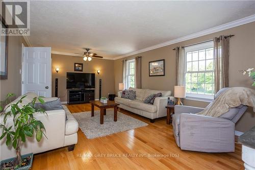 397810 Concession 10, Meaford, ON - Indoor Photo Showing Living Room