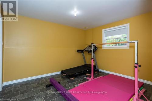 397810 Concession 10, Meaford, ON - Indoor Photo Showing Gym Room