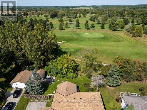 38 Lawler Drive, Grey Highlands (Markdale), ON - Outdoor With View