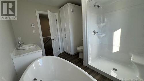 658 Portage Street, Grand-Sault/Grand Falls, NB - Indoor Photo Showing Bathroom