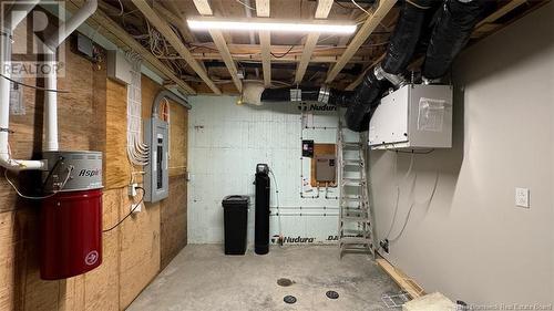 658 Portage Street, Grand-Sault/Grand Falls, NB - Indoor Photo Showing Basement