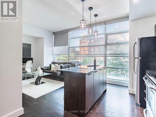 209 - 397 Front Street W, Toronto, ON - Indoor Photo Showing Kitchen With Upgraded Kitchen