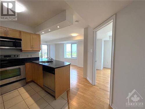 314 Central Park Drive Unit#707, Ottawa, ON - Indoor Photo Showing Kitchen