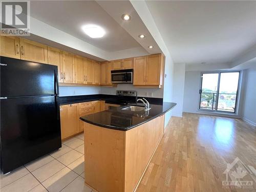 314 Central Park Drive Unit#707, Ottawa, ON - Indoor Photo Showing Kitchen