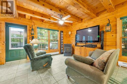 1310 Cardinal Heights Drive, Central Frontenac, ON - Indoor Photo Showing Living Room With Fireplace