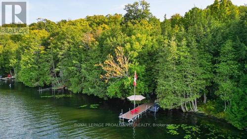 1310 Cardinal Heights Drive, Central Frontenac, ON - Outdoor With Body Of Water