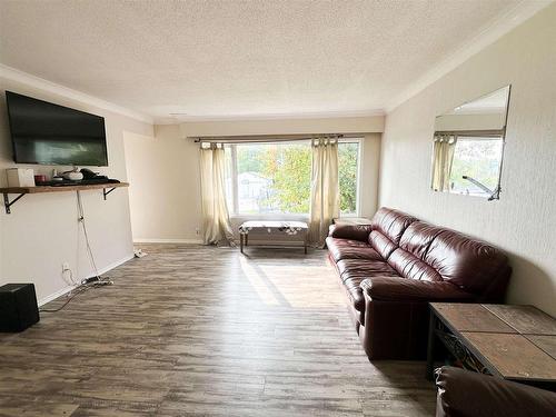 222 Hammell Road, Red Lake, ON - Indoor Photo Showing Living Room