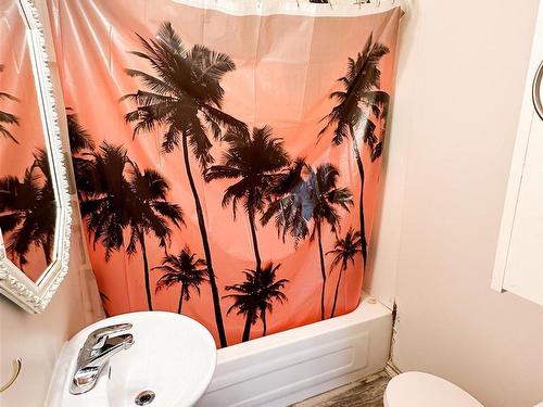 222 Hammell Road, Red Lake, ON - Indoor Photo Showing Bathroom