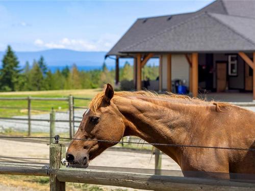 416 Grovehill Rd, Qualicum Beach, BC 