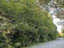 Land/Lot - Rue Du Lac-Clair, Sainte-Marguerite-Du-Lac-Masson, QC 