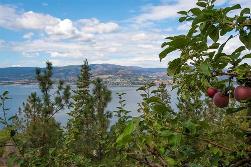 402 Viewcrest Road, Kelowna, BC - Outdoor With Body Of Water With View