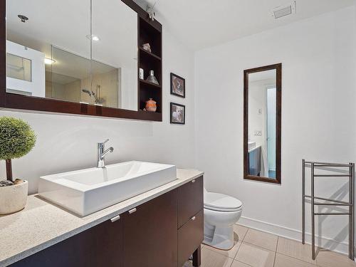 Ensuite bathroom - 305-150 Ch. De La Pointe-Sud, Montréal (Verdun/Île-Des-Soeurs), QC - Indoor Photo Showing Bathroom